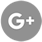 Google Icon