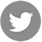 Twitter Icon